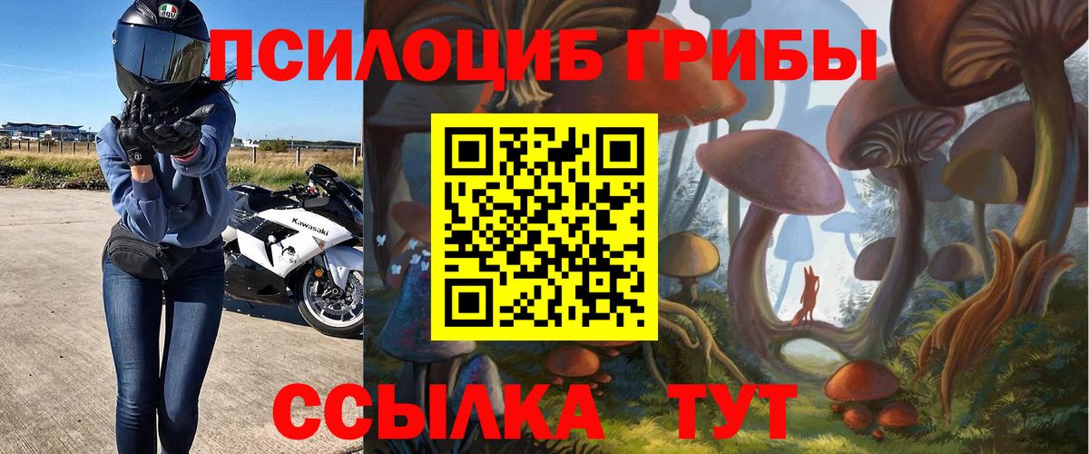 Псилоцибиновые грибы мухоморы Киселёвск
