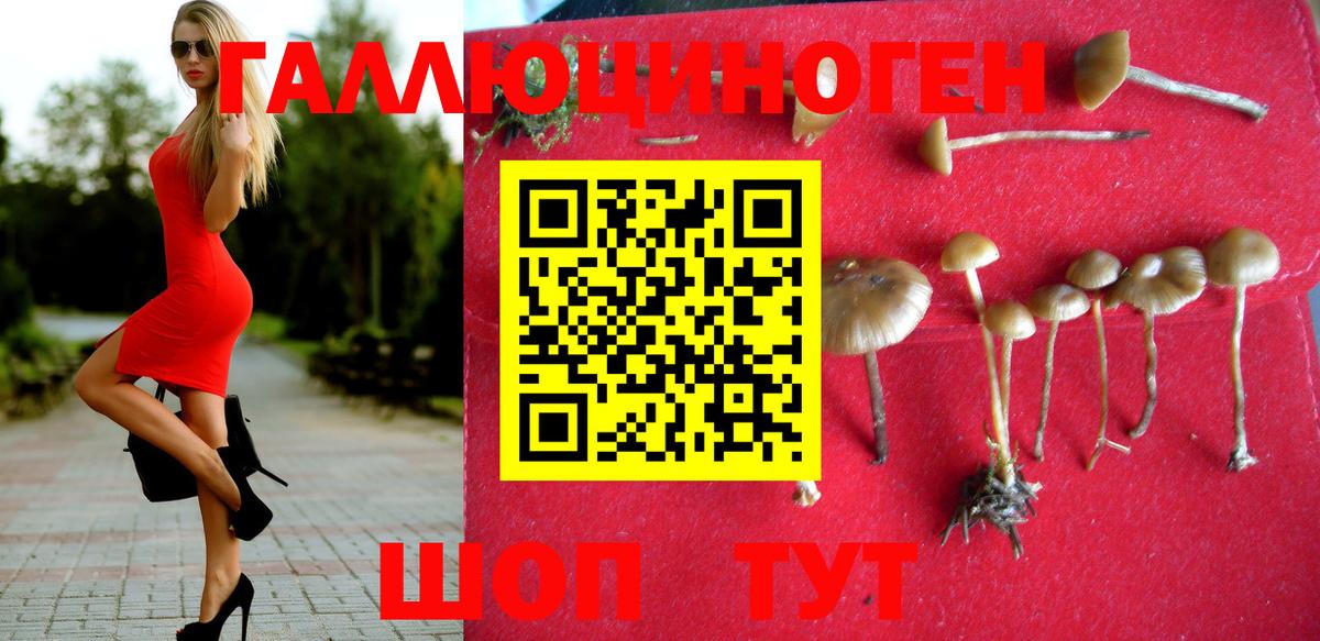Псилоцибиновые грибы Magic Shrooms  Вход с VPN  Киселёвск 